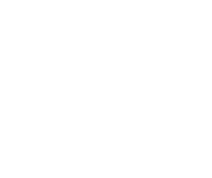 QPLIX logo